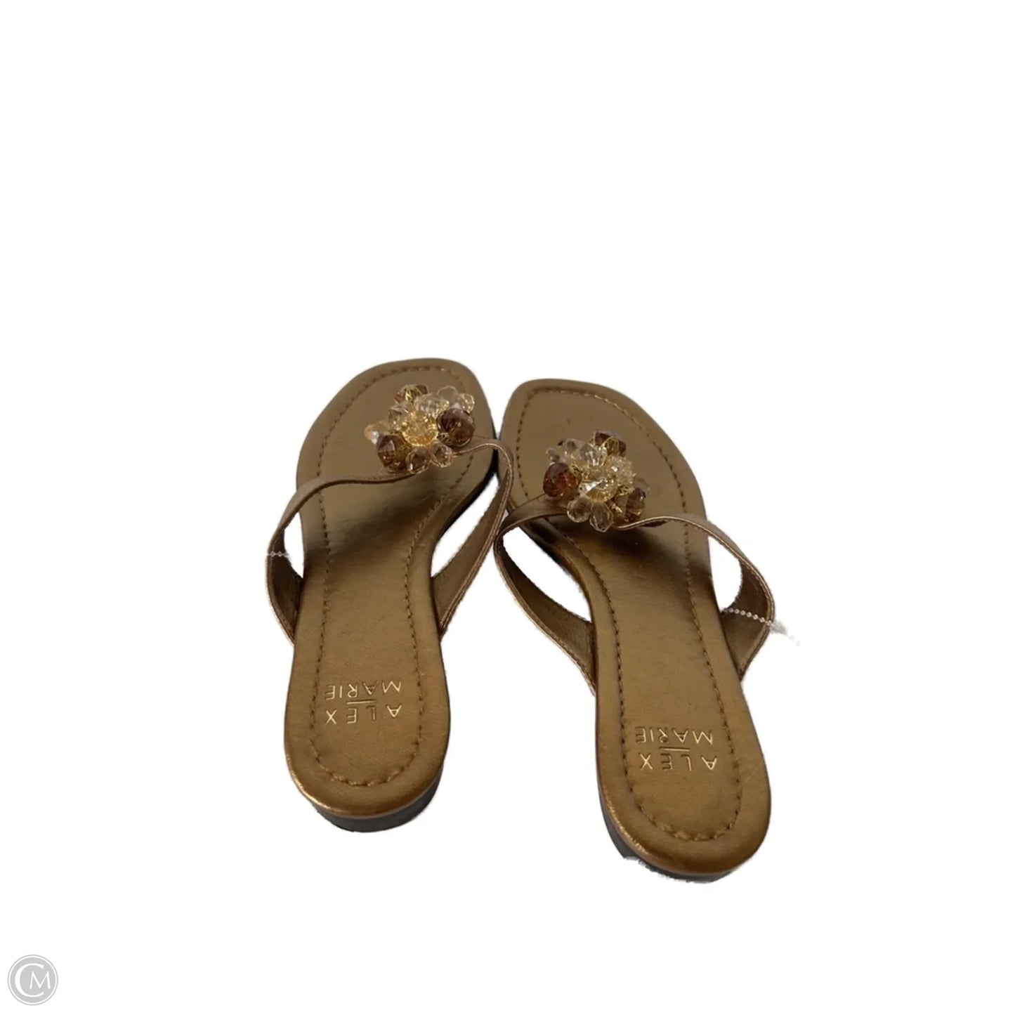 Sandals Flip Flops By Alex Marie In Gold, Size: 6
