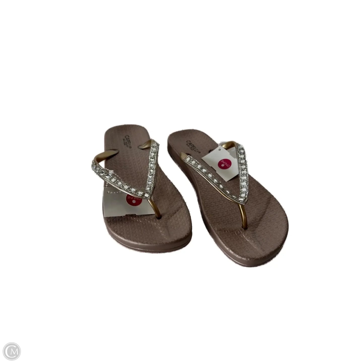 Sandals Flip Flops By Capelli In Taupe, Size: 7