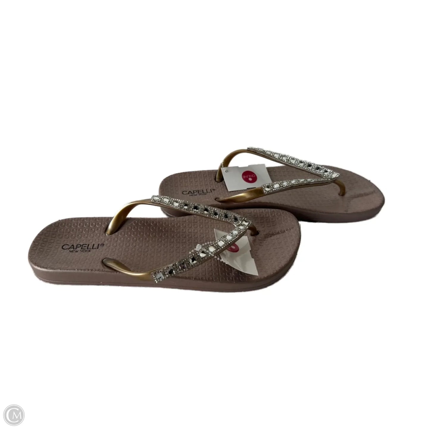 Sandals Flip Flops By Capelli In Taupe, Size: 7