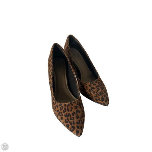 Shoes Heels Stiletto By Clarks In Animal Print, Size: 8.5