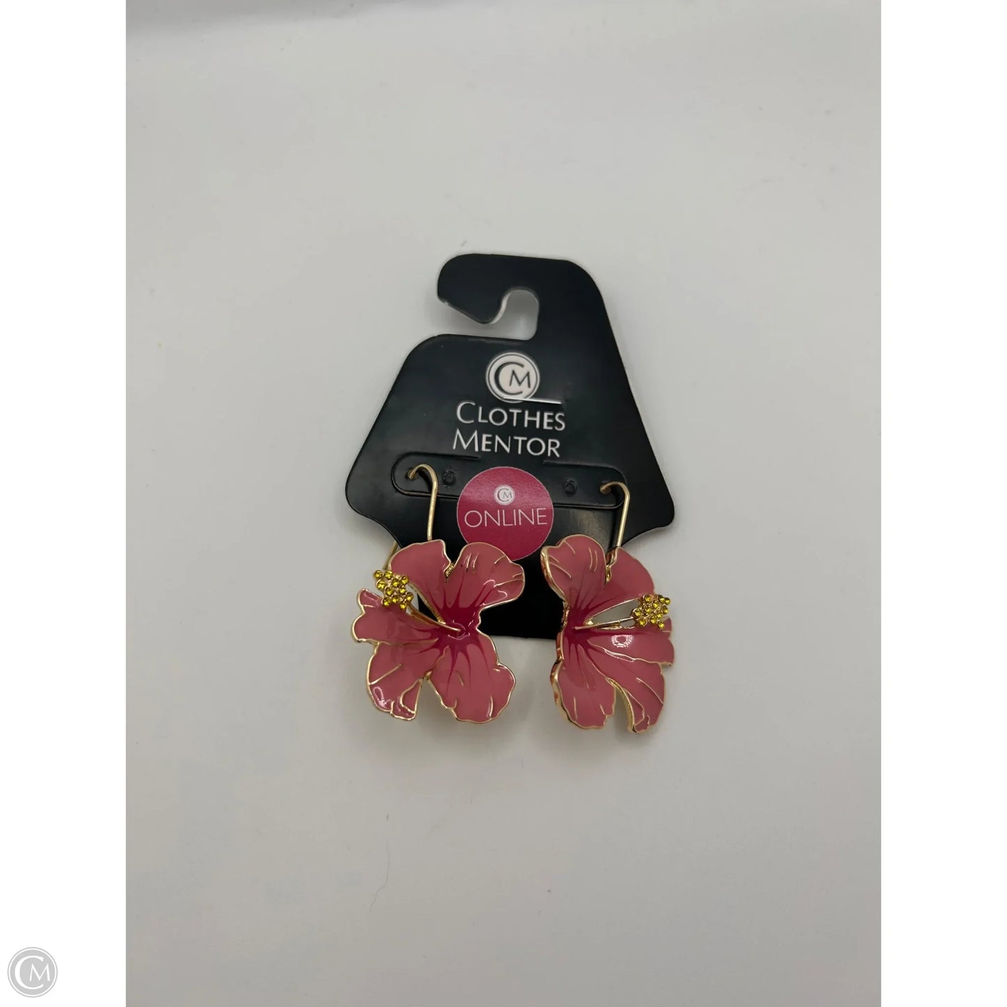Earrings Dangle/drop By Clothes Mentor