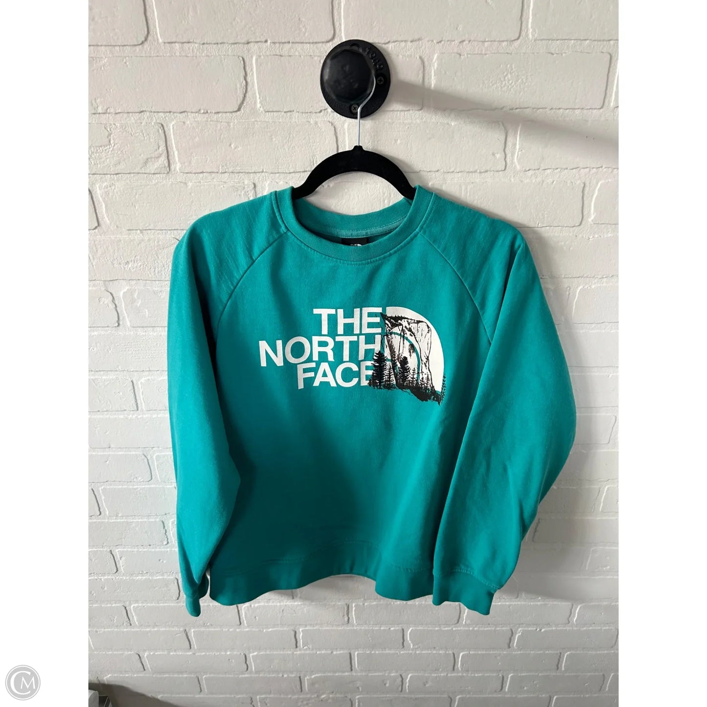 Sweatshirt Crewneck By The North Face In Green & White, Size: L