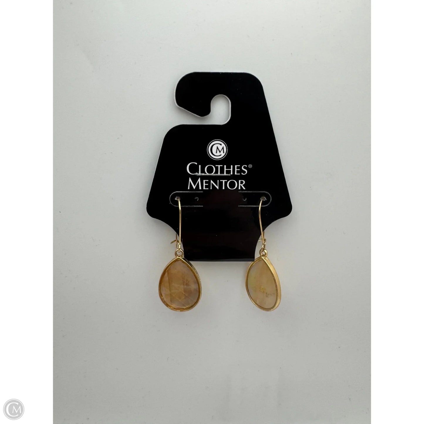 Earrings Dangle/drop By Clothes Mentor
