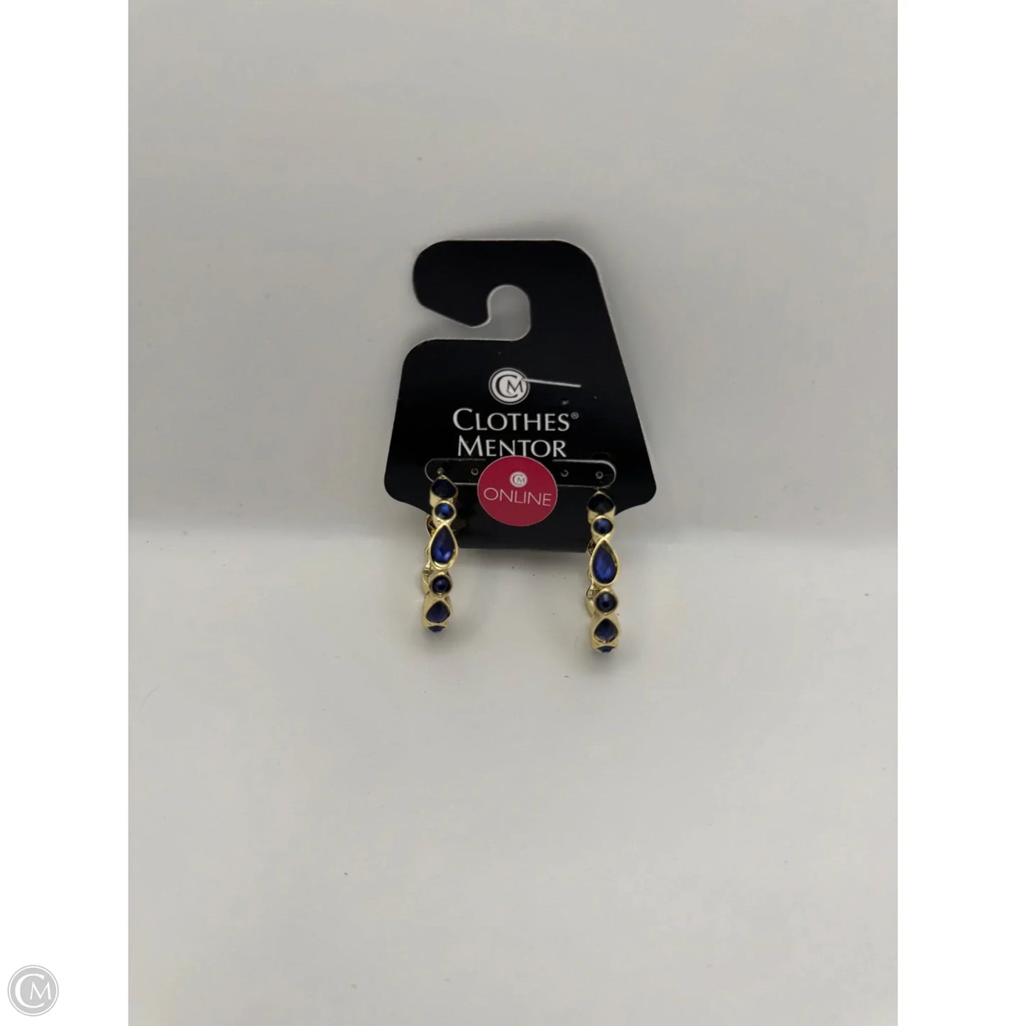 Earrings Hoop By Clothes Mentor