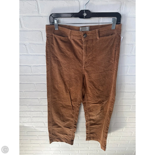 Pants Corduroy By Everlane In Brown, Size: 8