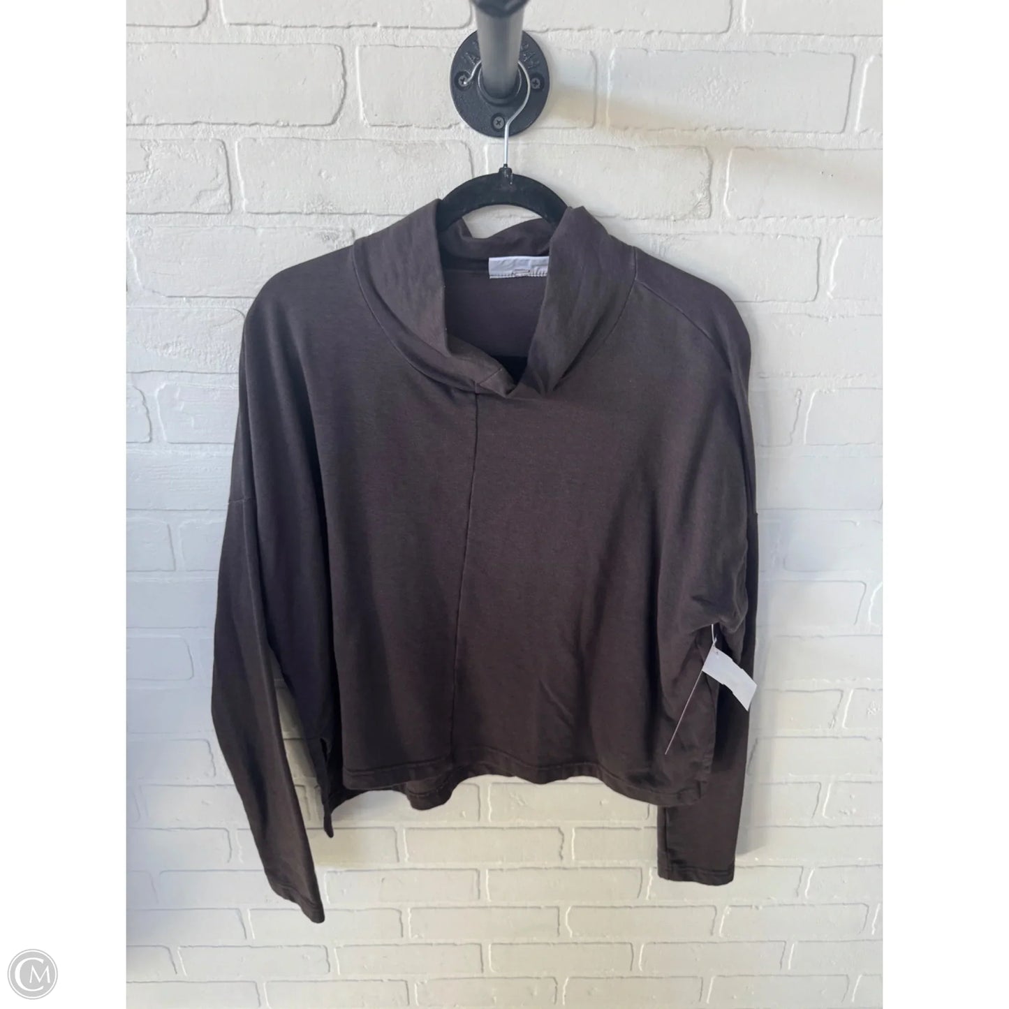 Top Long Sleeve By Bryn Walker In Brown, Size: Xs