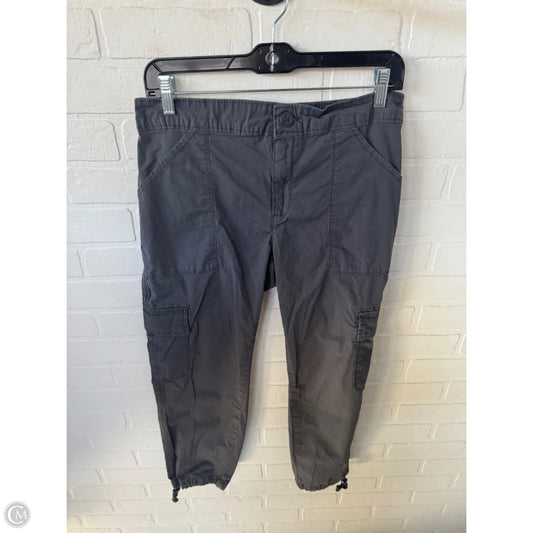 Pants Joggers By Social Standard By Sanctuary In Grey, Size: 8