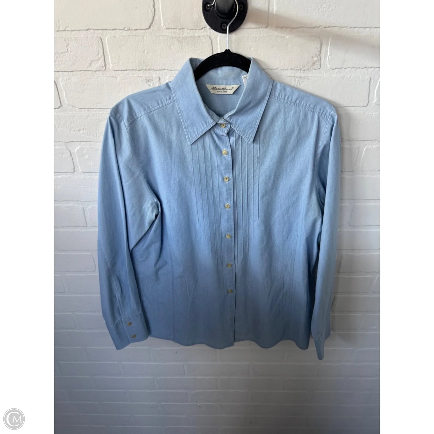 Blouse Long Sleeve By Eddie Bauer In Blue & Brown, Size: L