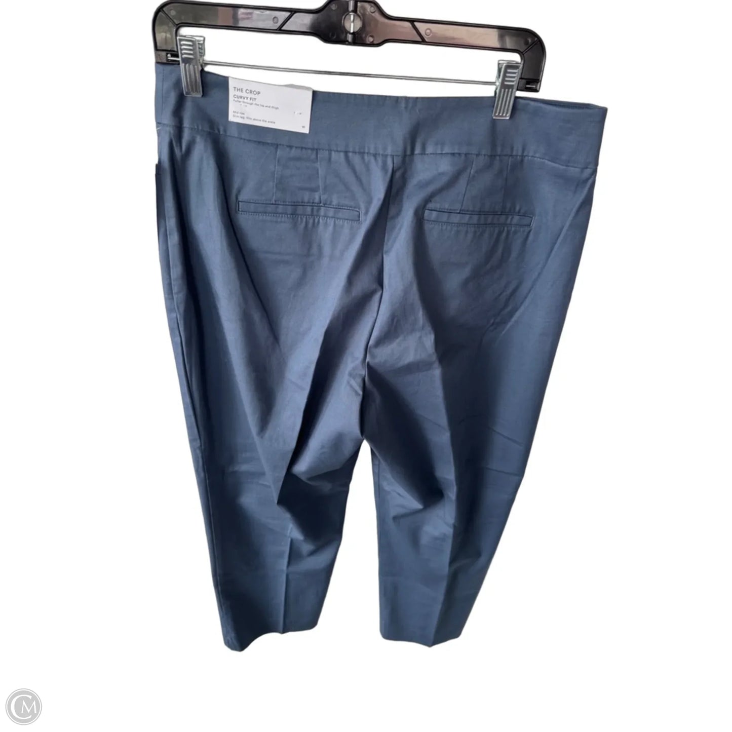 Pants Chinos & Khakis By Ann Taylor In Blue, Size: 10