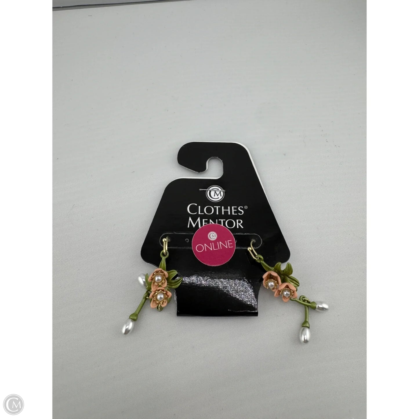 Earrings Dangle/drop By Clothes Mentor