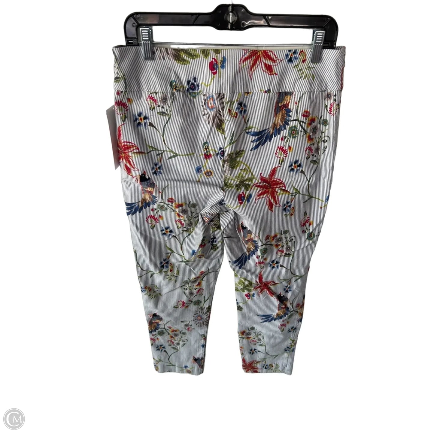 Pants Other By Peck And Peck In Blue & White, Size: 14