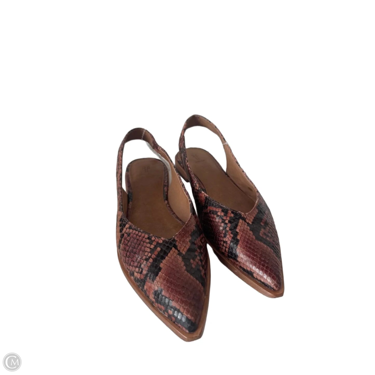 Shoes Designer By Frye In Snakeskin Print, Size: 8