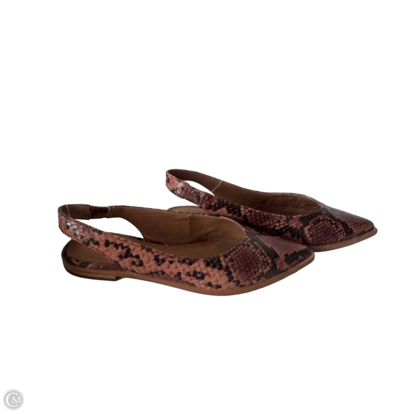 Shoes Designer By Frye In Snakeskin Print, Size: 8