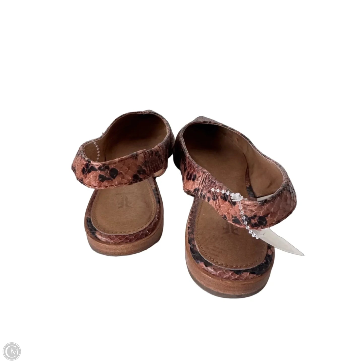 Shoes Designer By Frye In Snakeskin Print, Size: 8