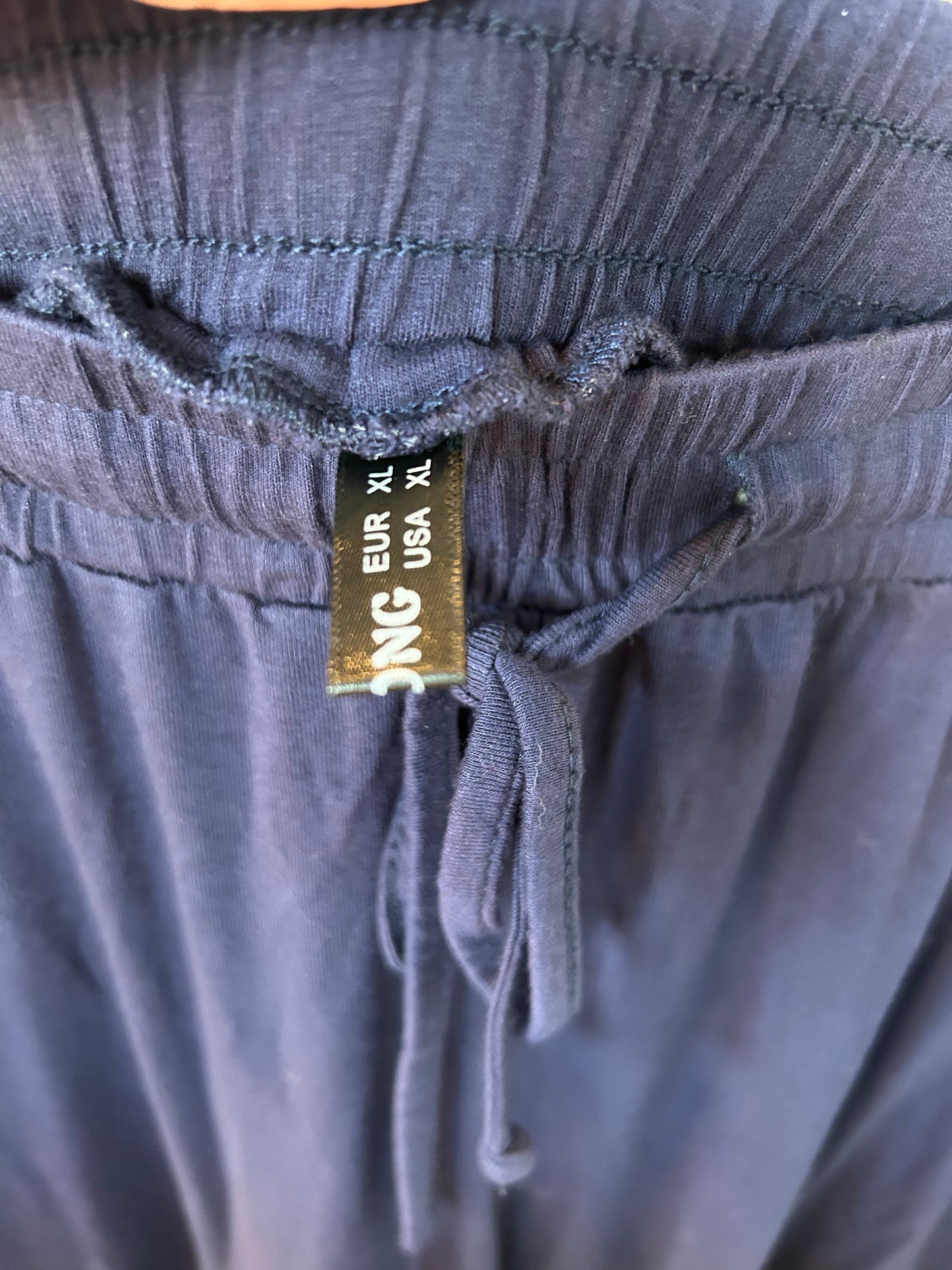 Pajama Pants By Clothes Mentor In Blue, Size: 16