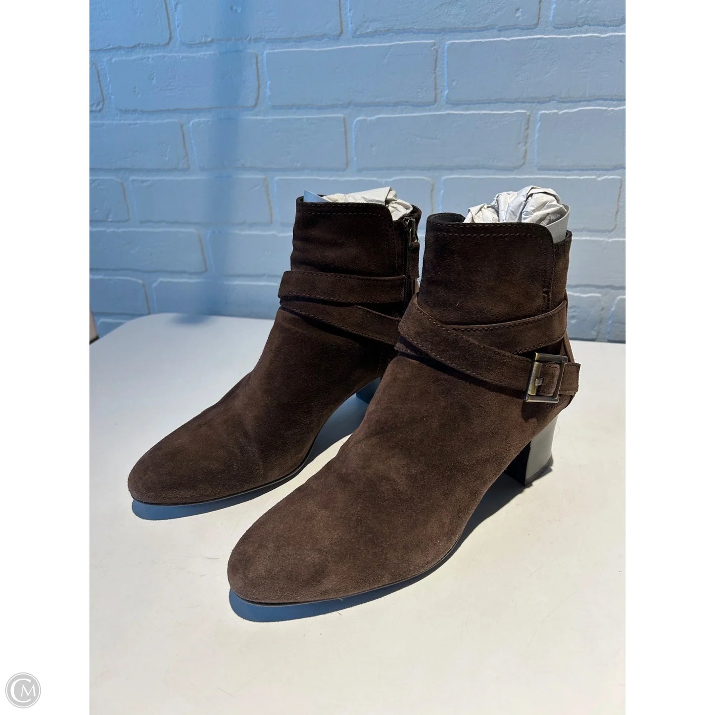 Boots Ankle Heels By Aquatalia In Brown, Size: 10