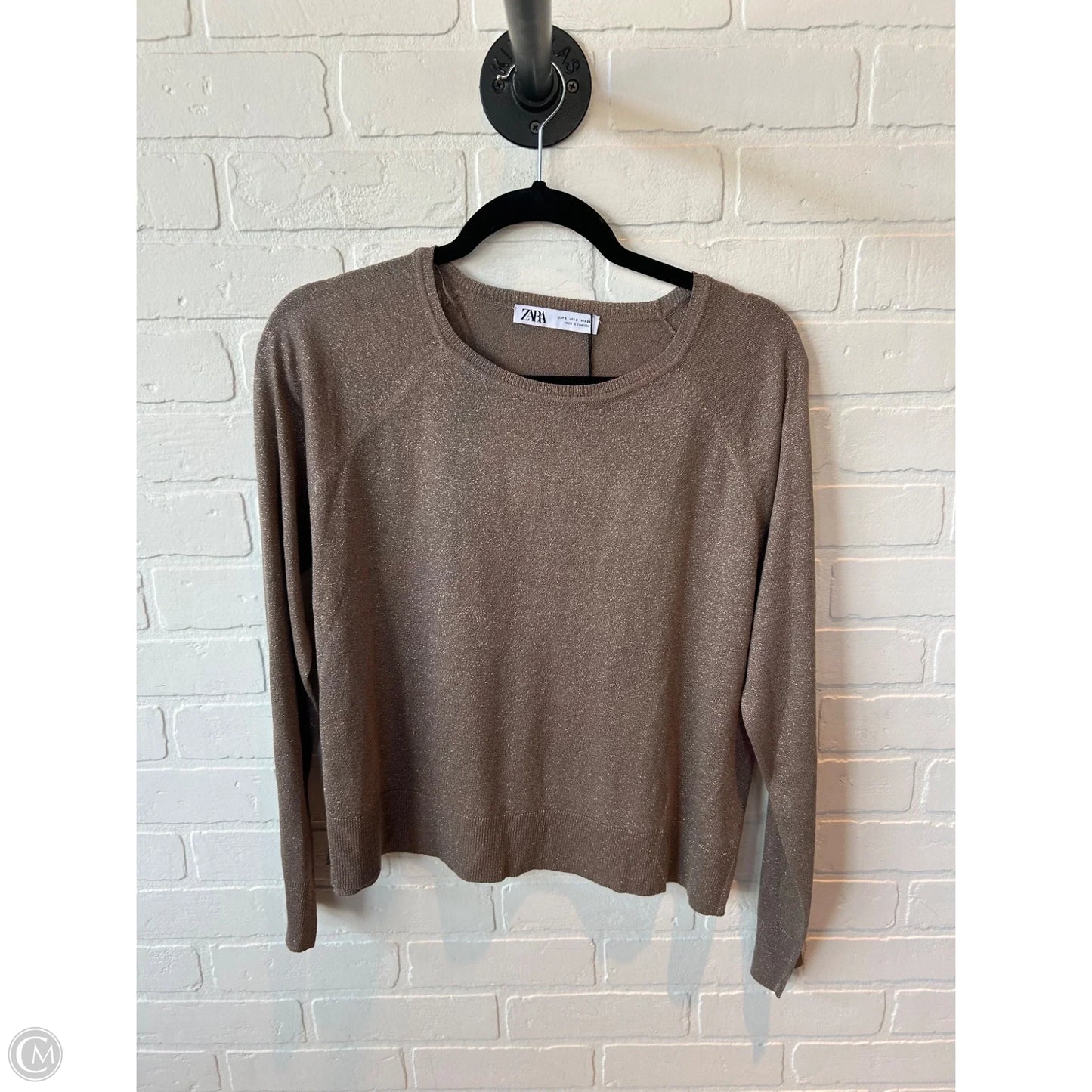Sweater By Zara In Brown, Size: S