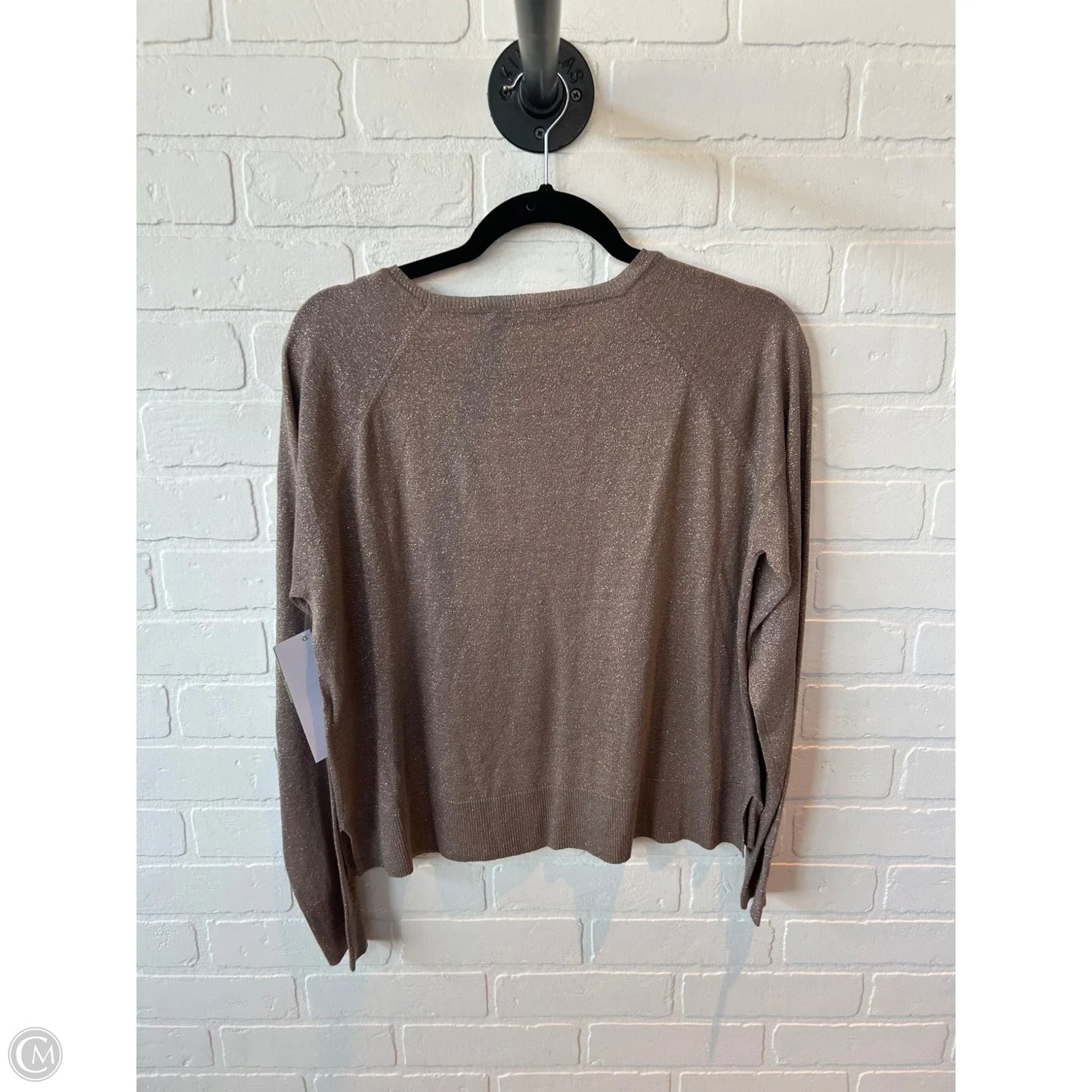 Sweater By Zara In Brown, Size: S