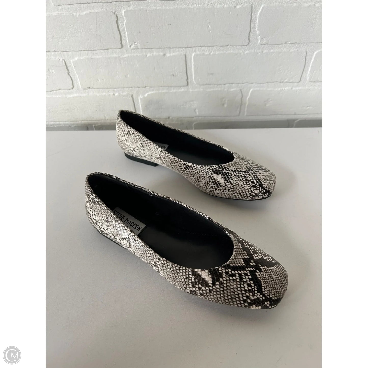 Shoes Flats By Steve Madden In Snakeskin Print, Size: 6.5