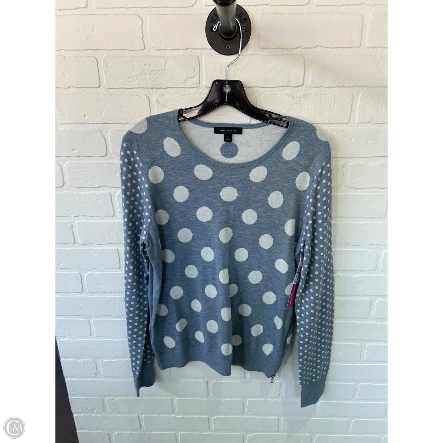 Sweater By Ann Taylor In Blue & White, Size: L
