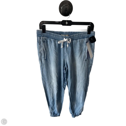 Pants Joggers By Cloth & Stone In Blue Denim, Size: 4
