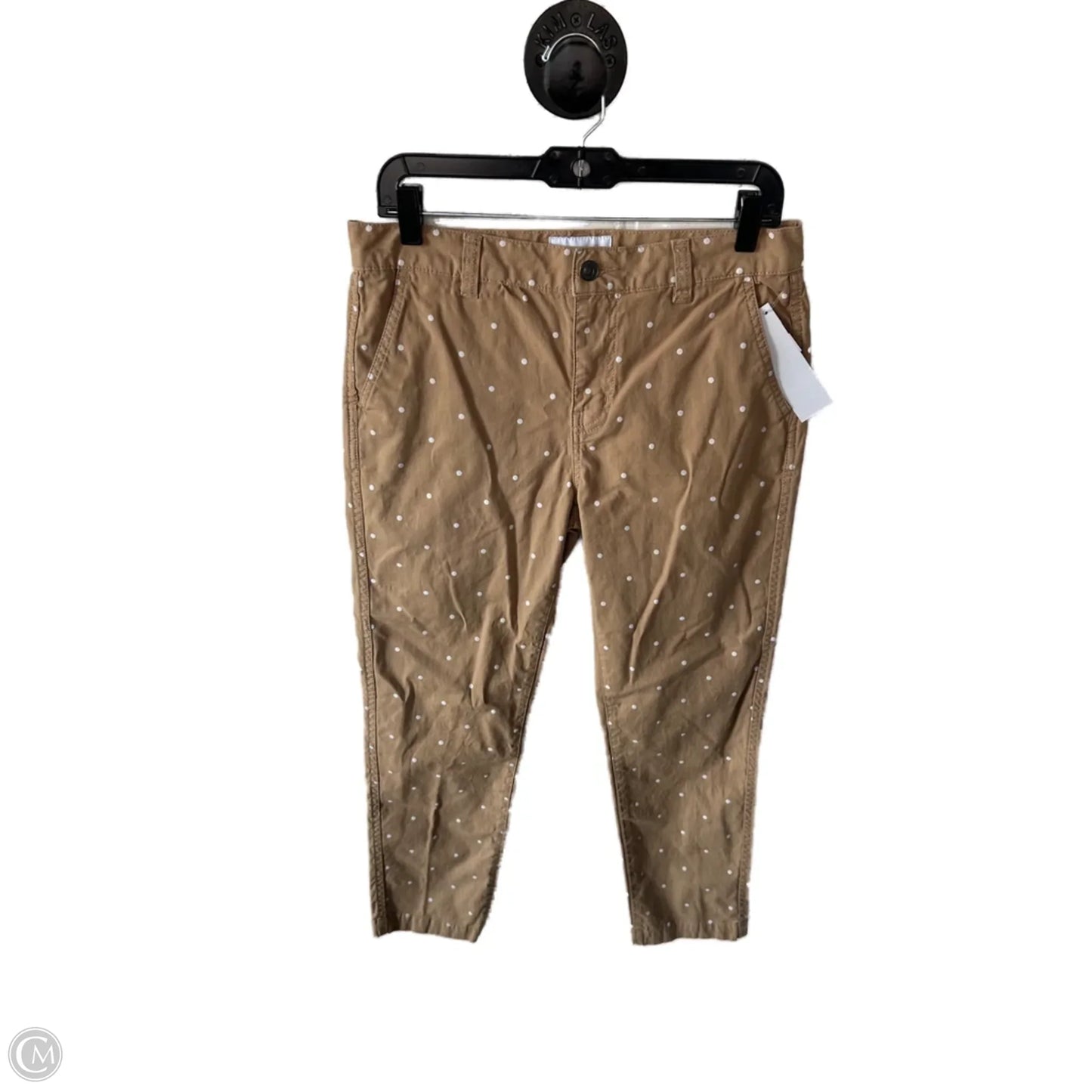 Pants Other By Current/elliott In Tan & White, Size: 6