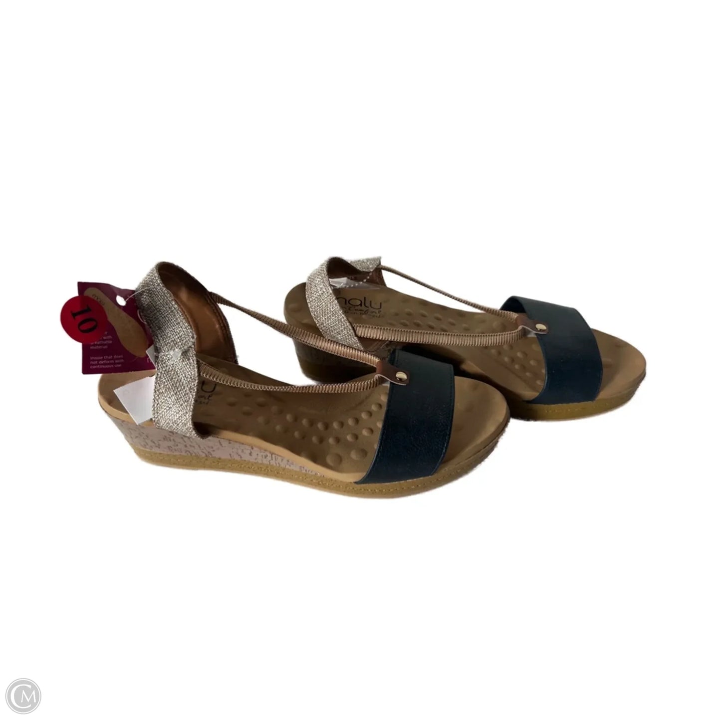 Sandals Heels Wedge By Clothes Mentor In Blue & Tan, Size: 10