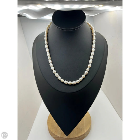Necklace Chain By Ann Taylor