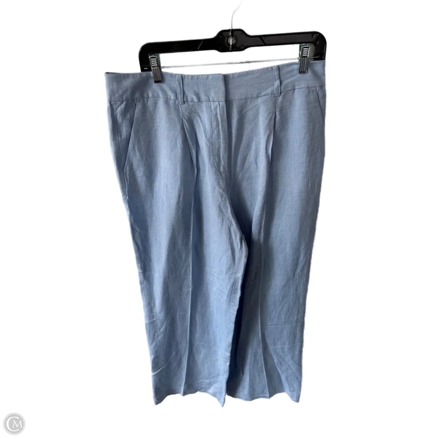 Pants Other By Loft In Blue, Size: 10l