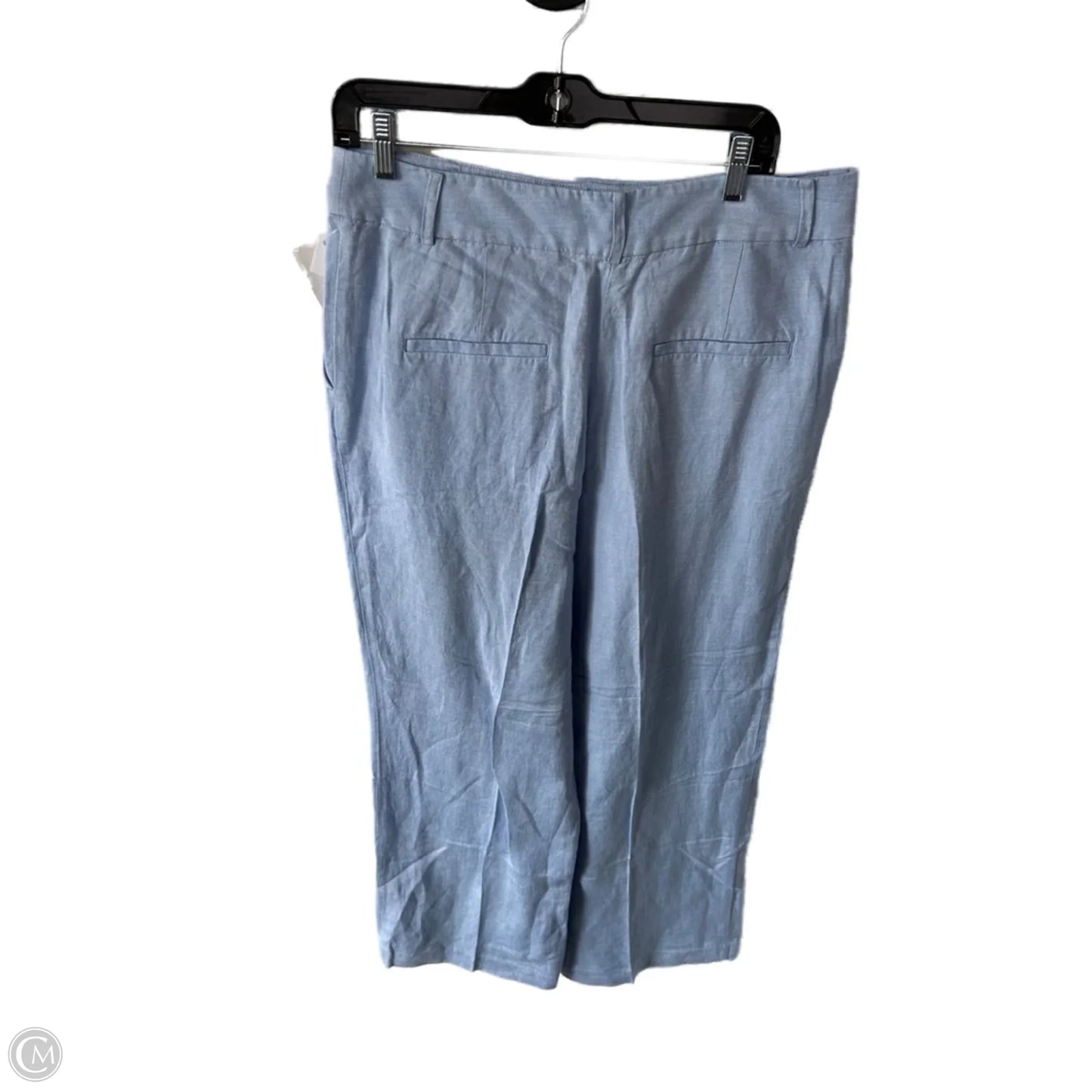 Pants Other By Loft In Blue, Size: 10l