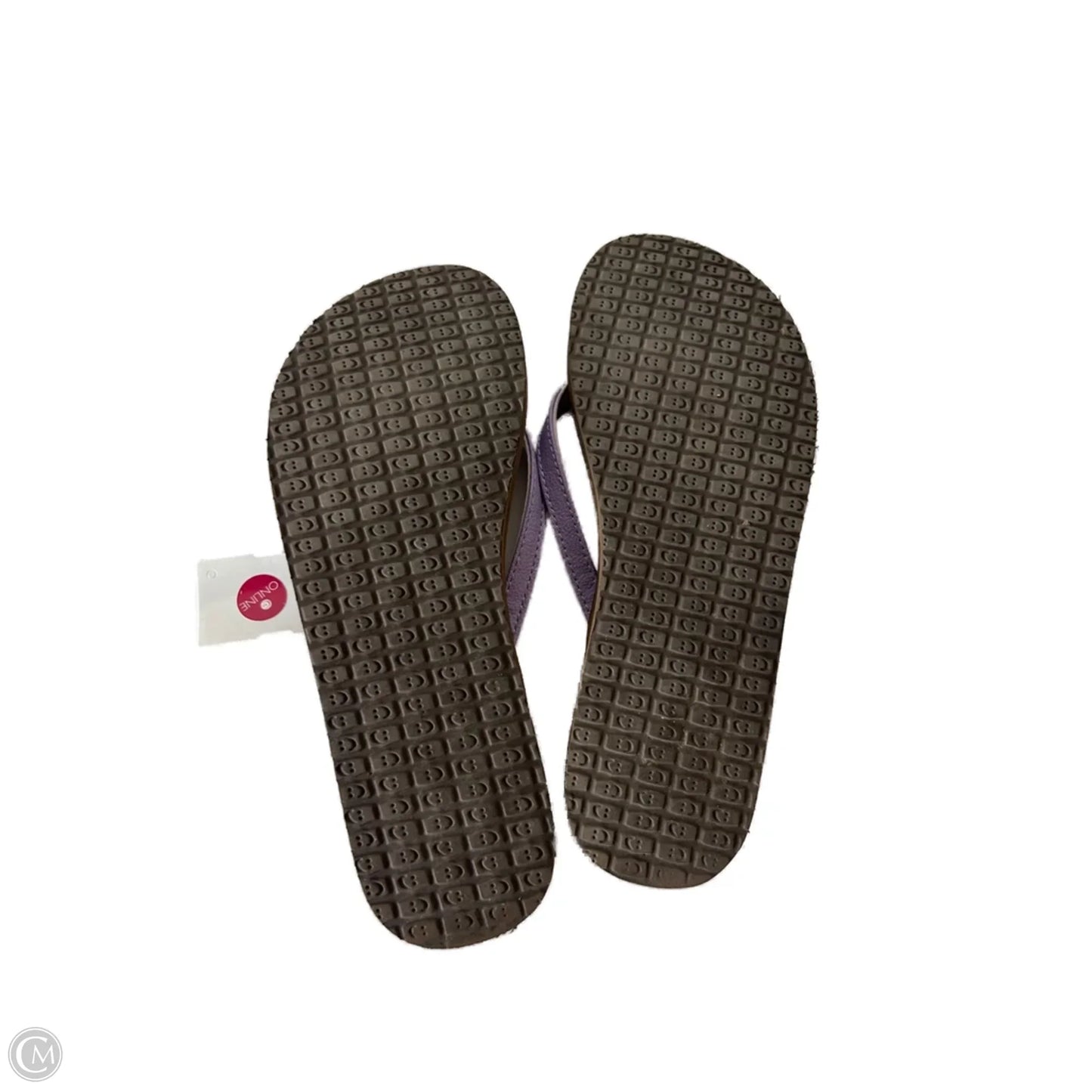 Sandals Flip Flops By Sanuk In Purple, Size: 8