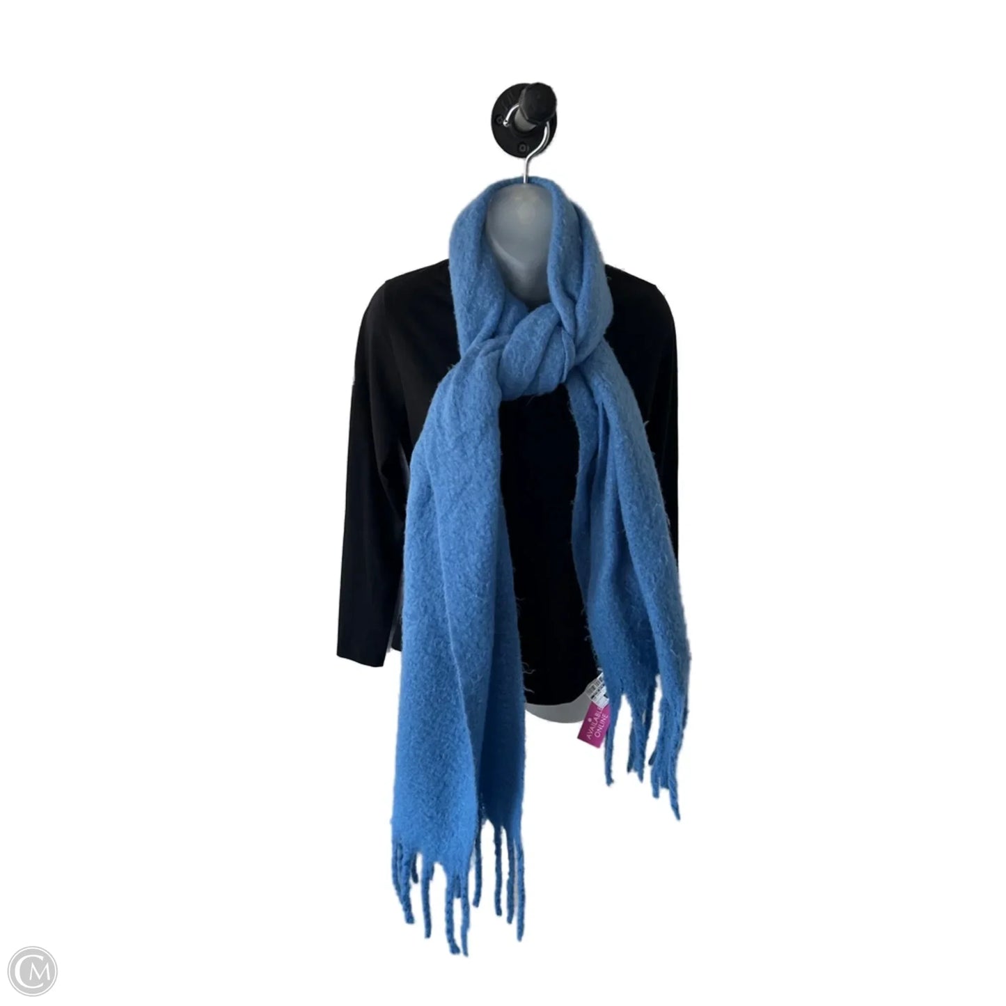 Scarf Winter By Clothes Mentor In Blue