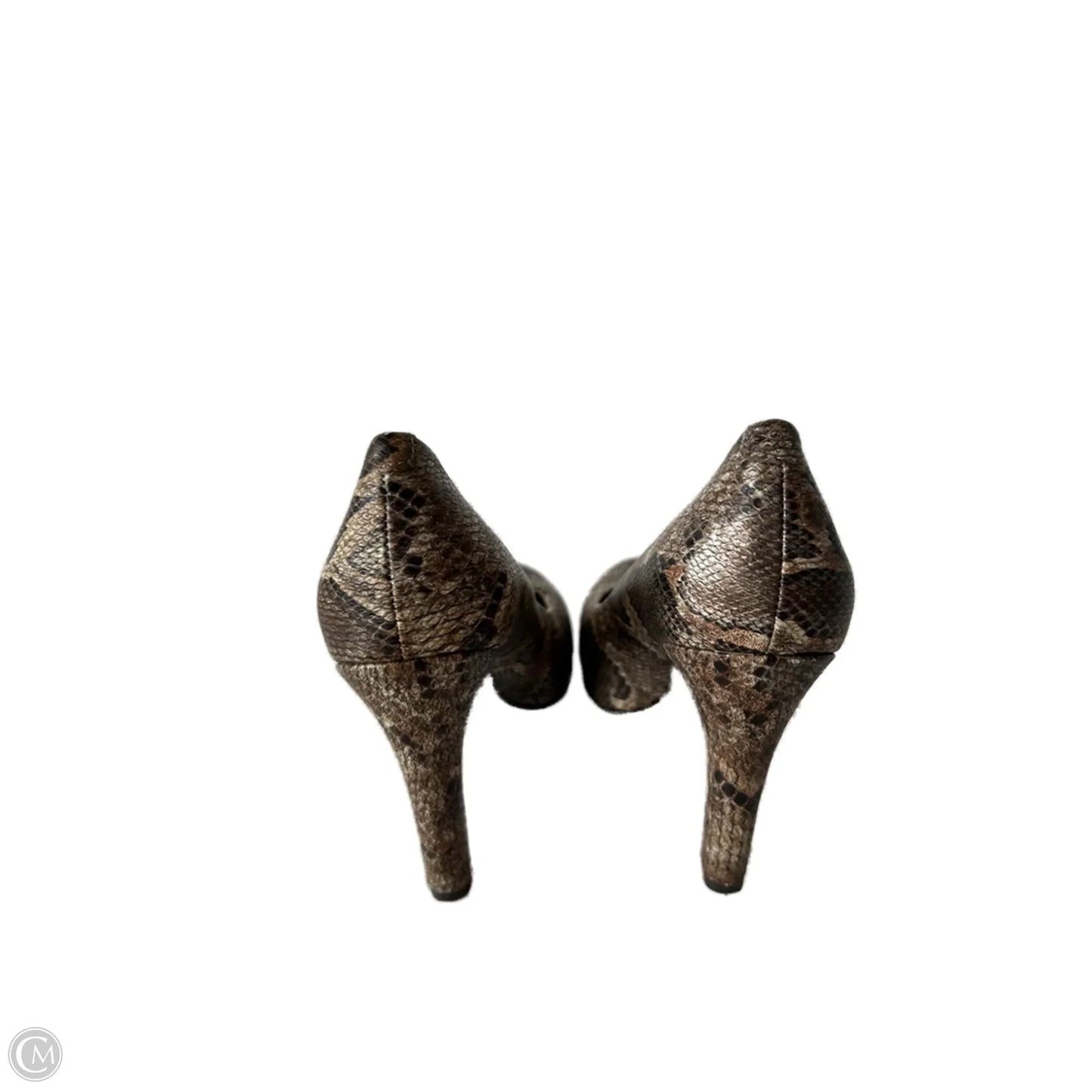 Shoes Heels Block By Jessica Simpson In Snakeskin Print, Size: 6.5