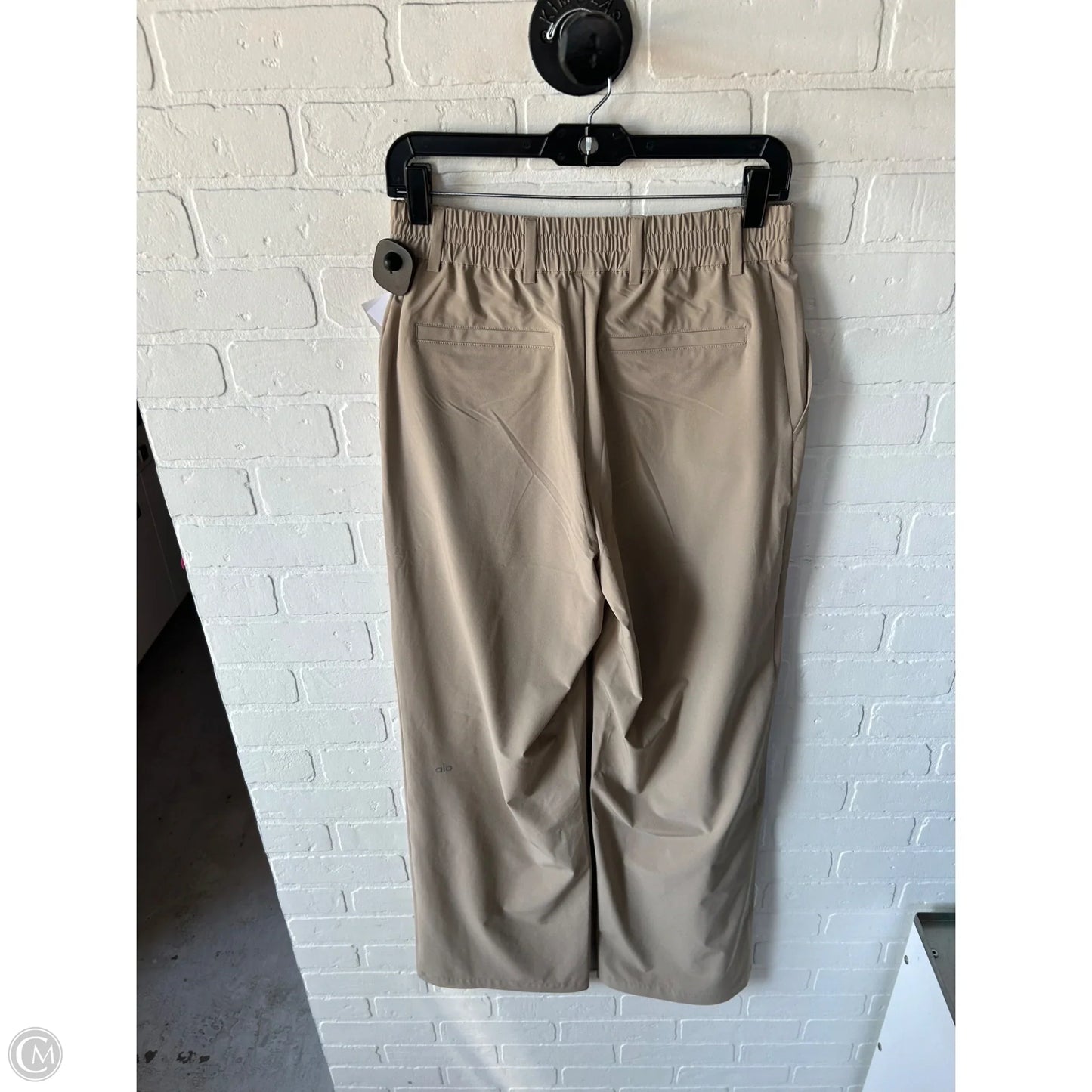Athletic Pants By Alo In Tan, Size: 4