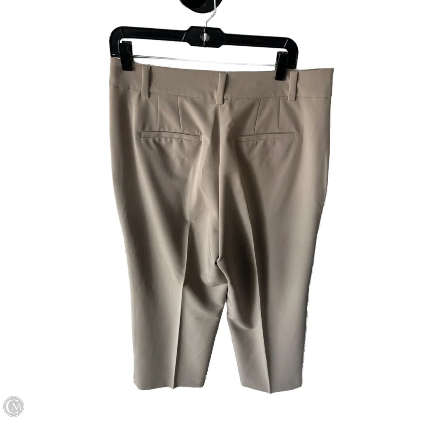 Pants Wide Leg By Loft In Tan, Size: 10