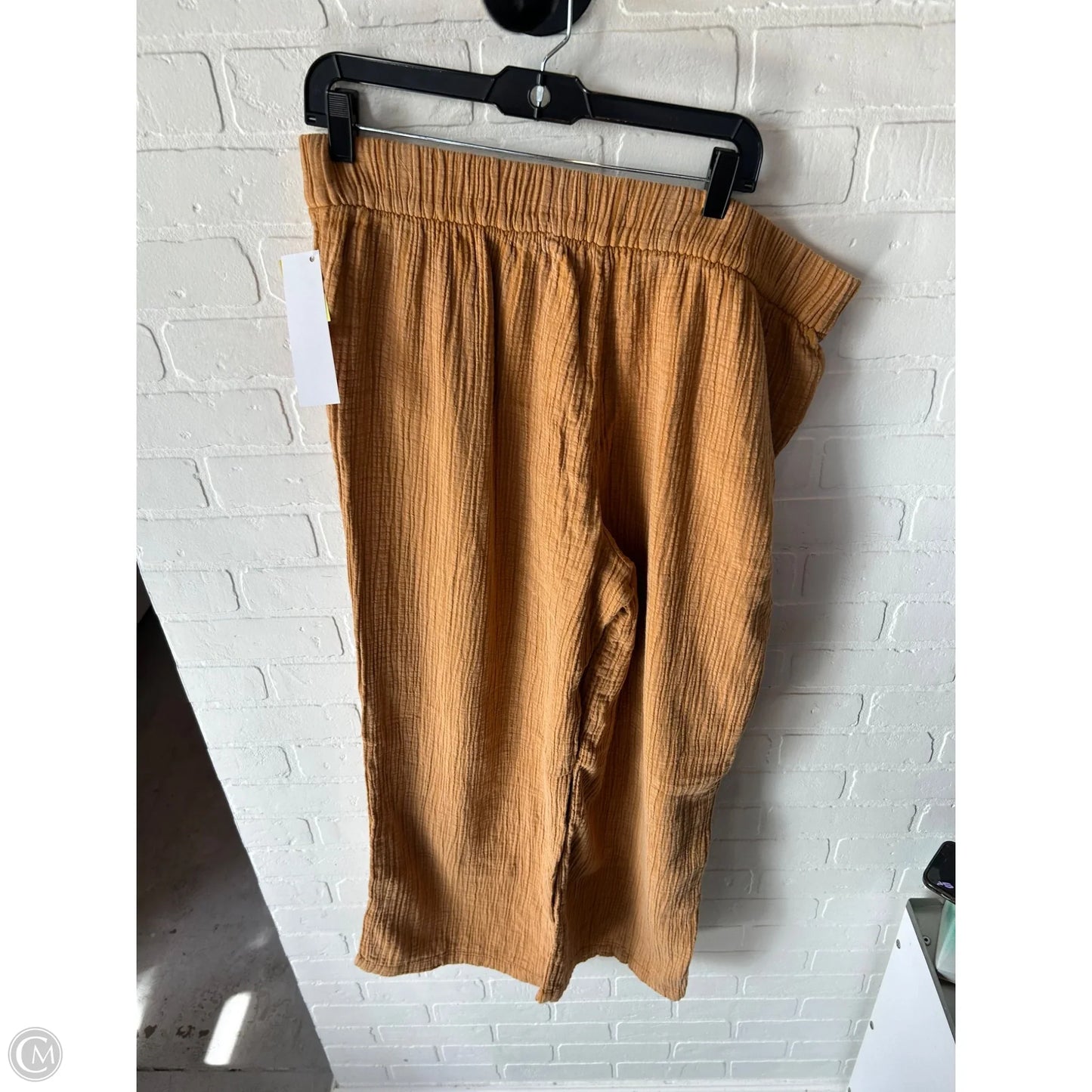 Pants Linen By Wonderly In Brown, Size: 16