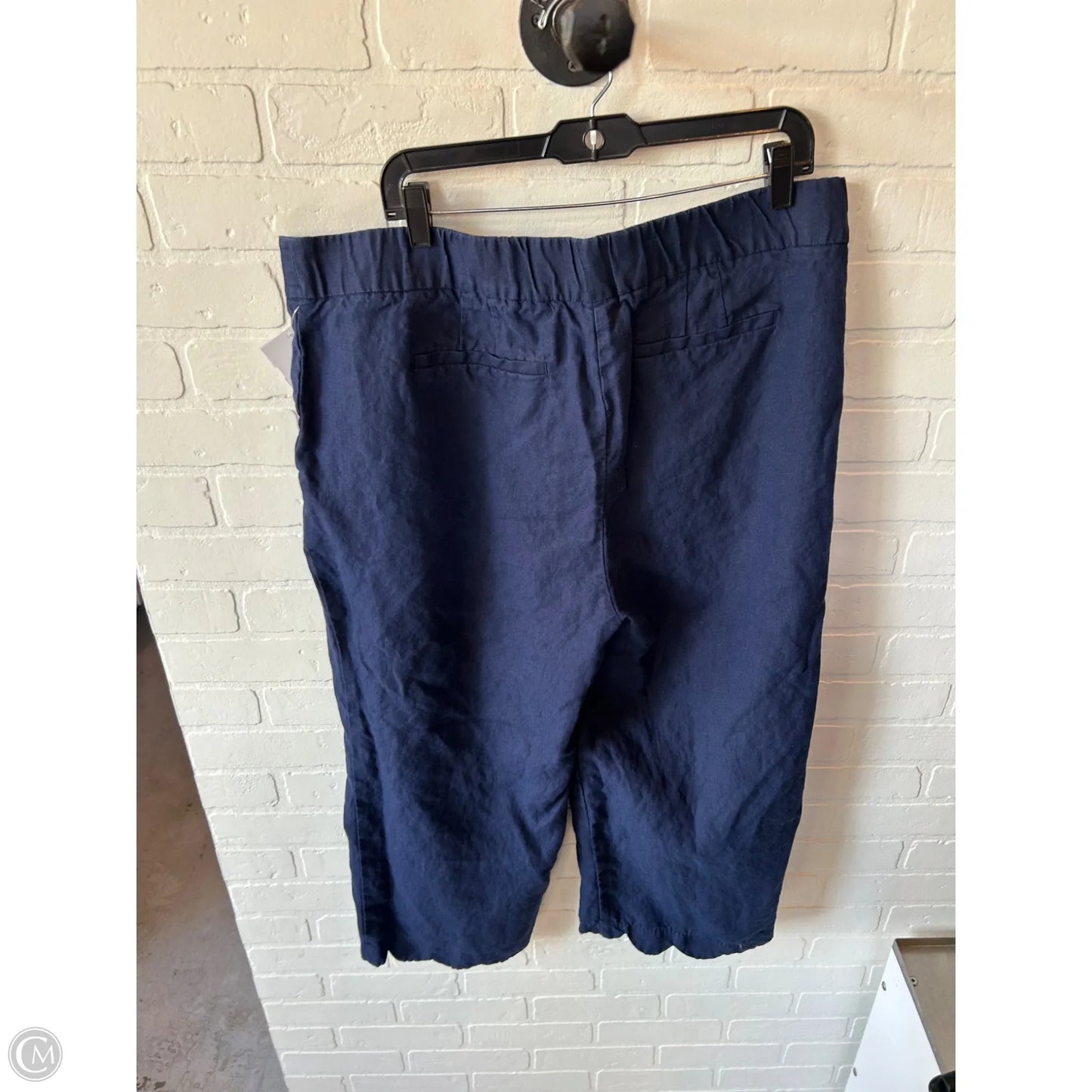 Pants Other By Chicos In Blue, Size: 18