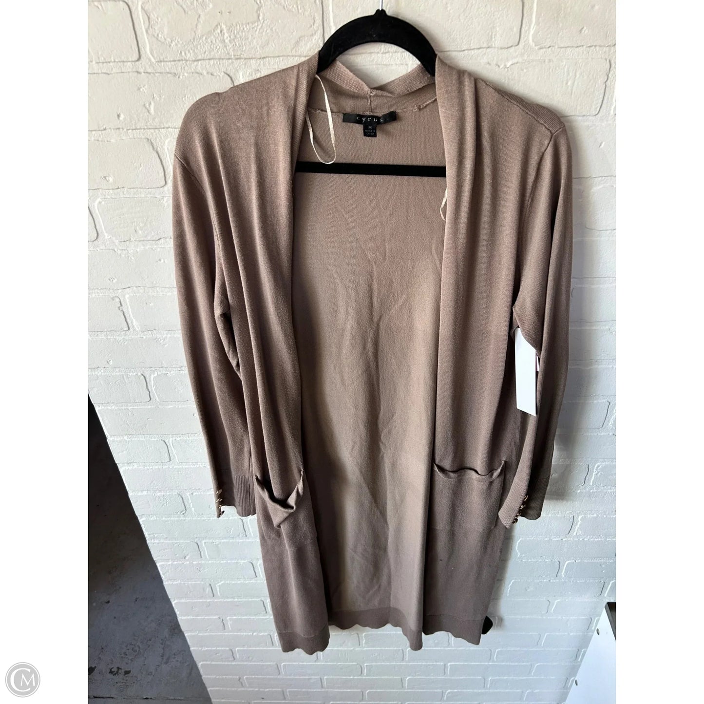 Sweater Cardigan By Cyrus In Tan, Size: M