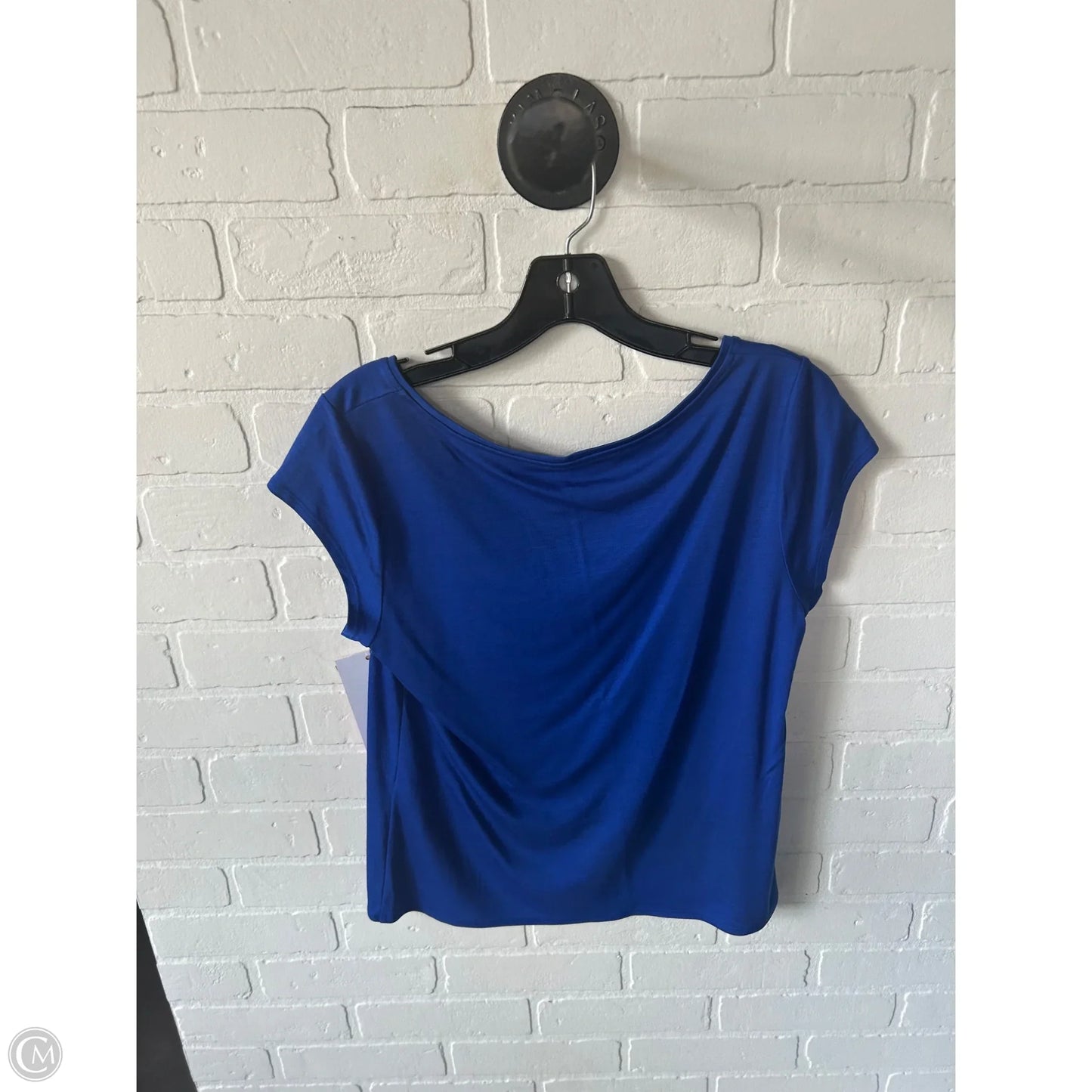 Top Short Sleeve Basic By Eileen Fisher In Blue, Size: S
