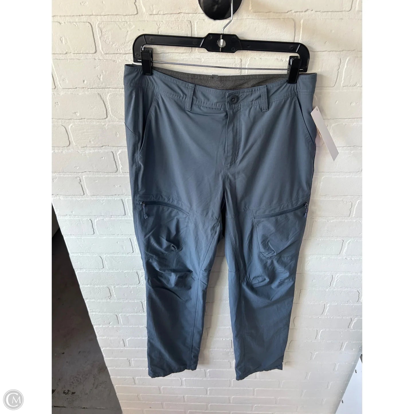 Athletic Pants By Eddie Bauer In Blue, Size: 8