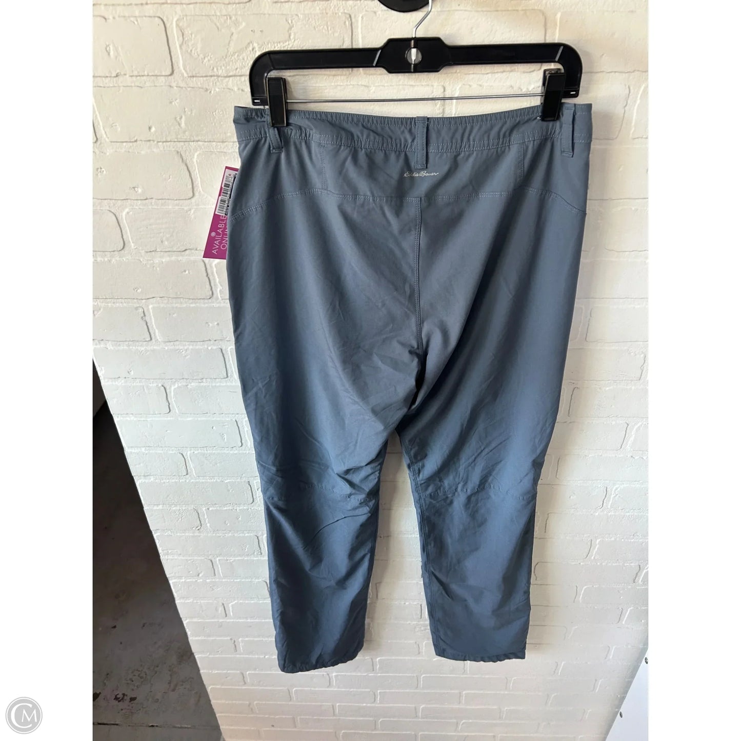 Athletic Pants By Eddie Bauer In Blue, Size: 8