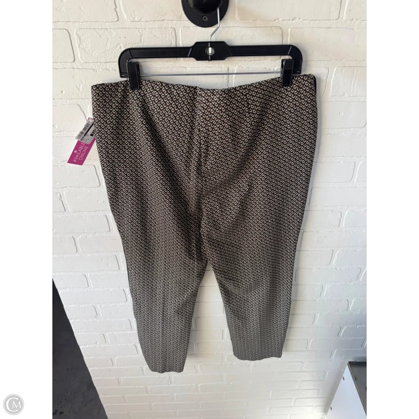 Pants Other By Chicos In Black & Brown, Size: 16