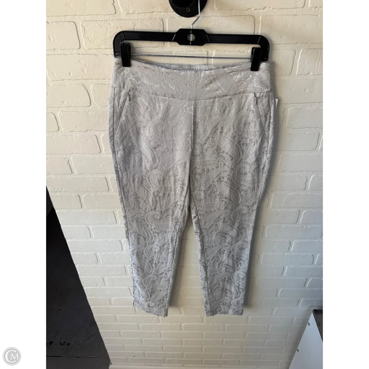Pants Other By Soft Surroundings In Silver, Size: 4