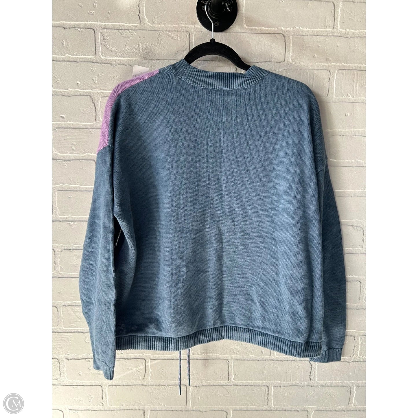 Sweater By Lou And Grey In Blue & Purple, Size: M