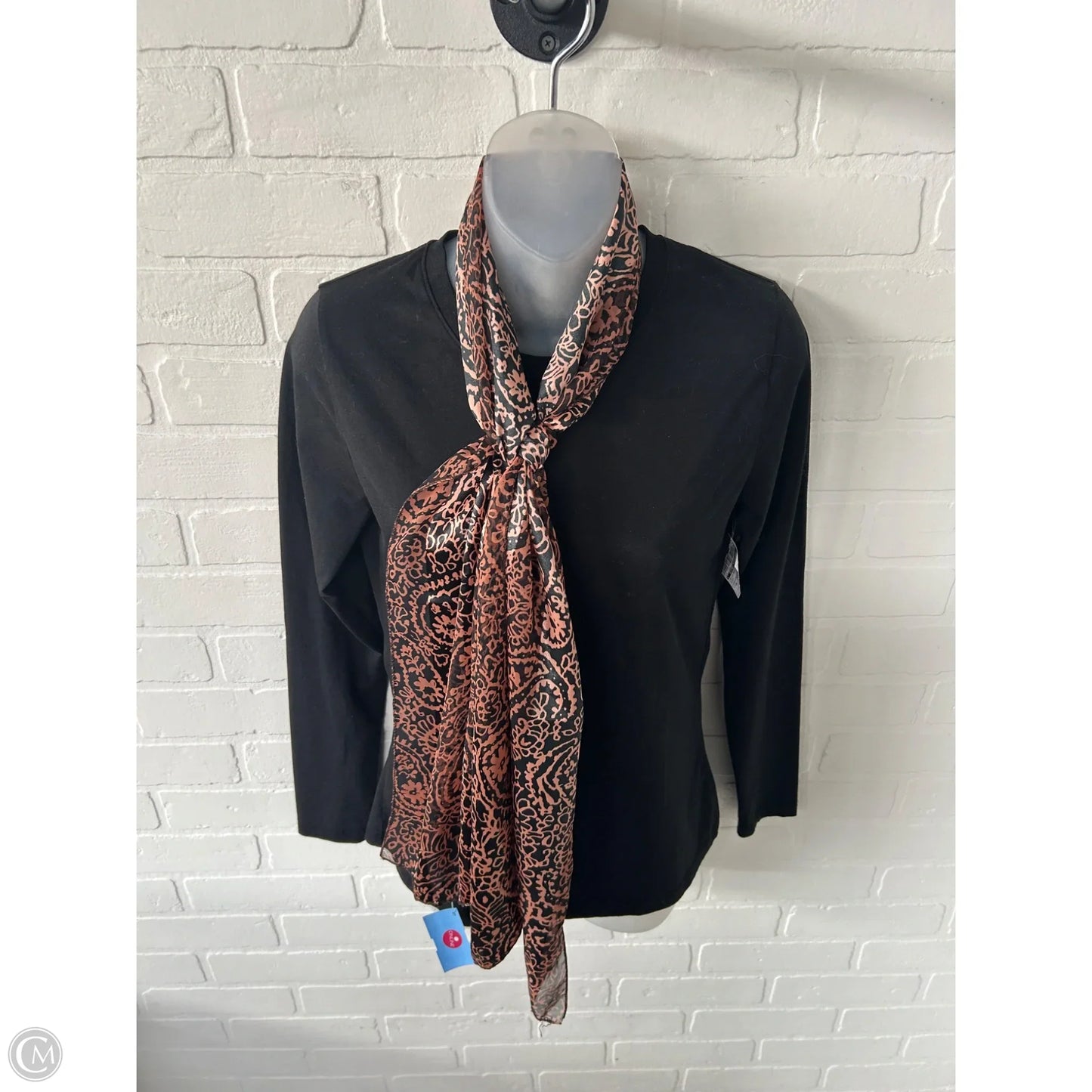Scarf Long By Clothes Mentor