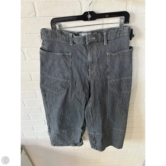 Jeans Wide Leg By Everlane In Blue & White, Size: 12