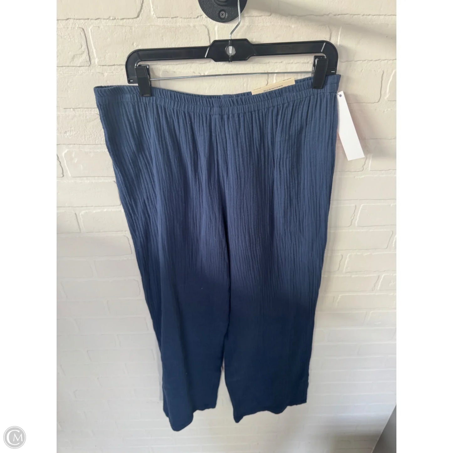 Pants Linen By Soft Surroundings In Blue, Size: 8