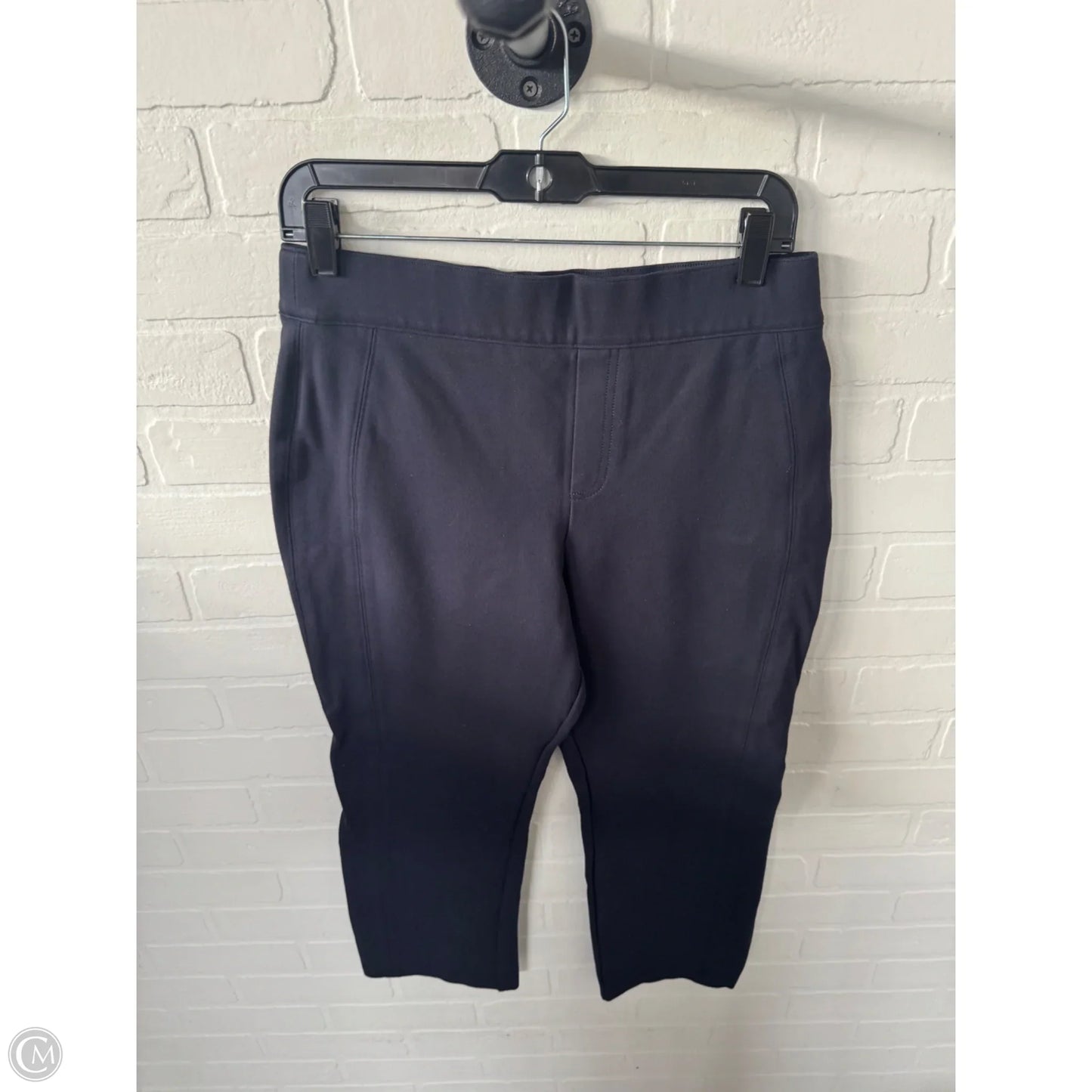 Pants Other By Spanx In Blue, Size: 12