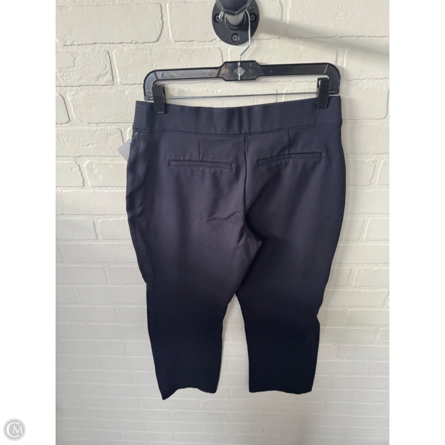 Pants Other By Spanx In Blue, Size: 12