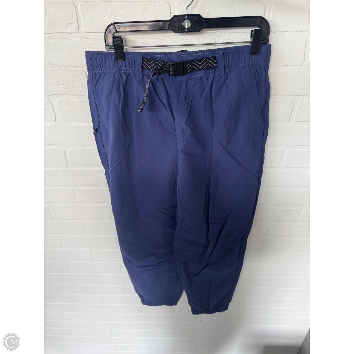 Athletic Pants By Mountain Hardwear In Purple, Size: 12